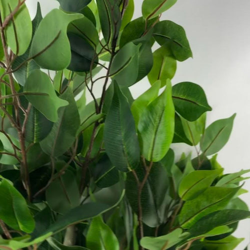 Artificial Ficus Tree Plant