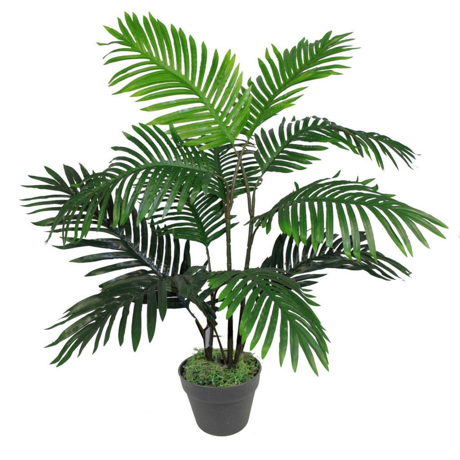 Large Artificial Palm Tree